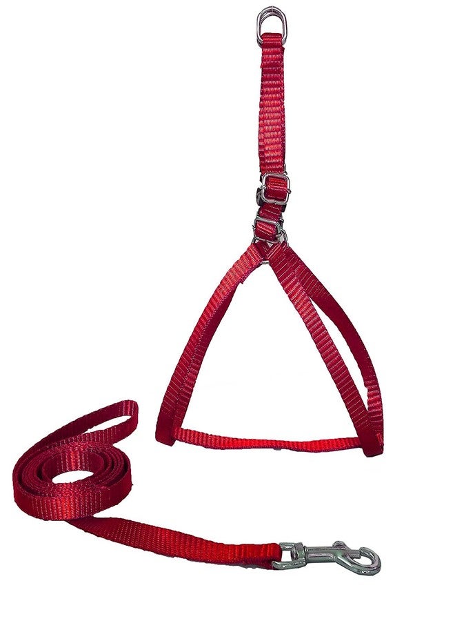 Skora Adjustable 17-22 Inch Harness without Padding for Very Small Size Dogs & Puppies